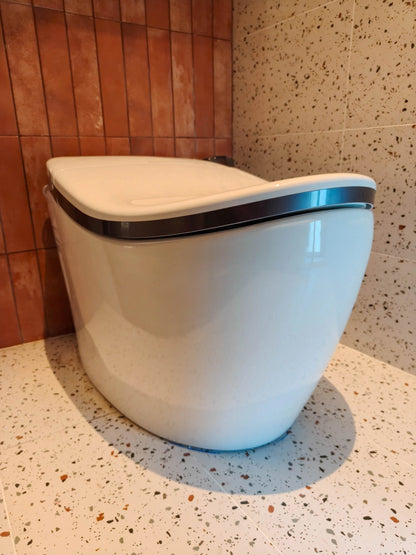 Rivius Sano – Modern Smart Automatic Toilet