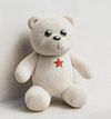 Ruby Star Teddy