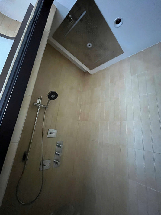 Rivius Aquargent – Silver Shower Set With Built-In Massage Spray And Overhead Rainfall